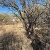 Photo of Mobile Home Lot