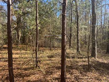 Photo of Approx. 2 Acres! Possible Prior Mobile Home Site, No Credit Check!