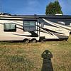 RV for Sale: 2015 CARDINAL 3675RT