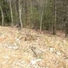 Photo of Mobile Home Lot