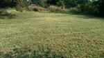 Photo of Mobile Home Lot
