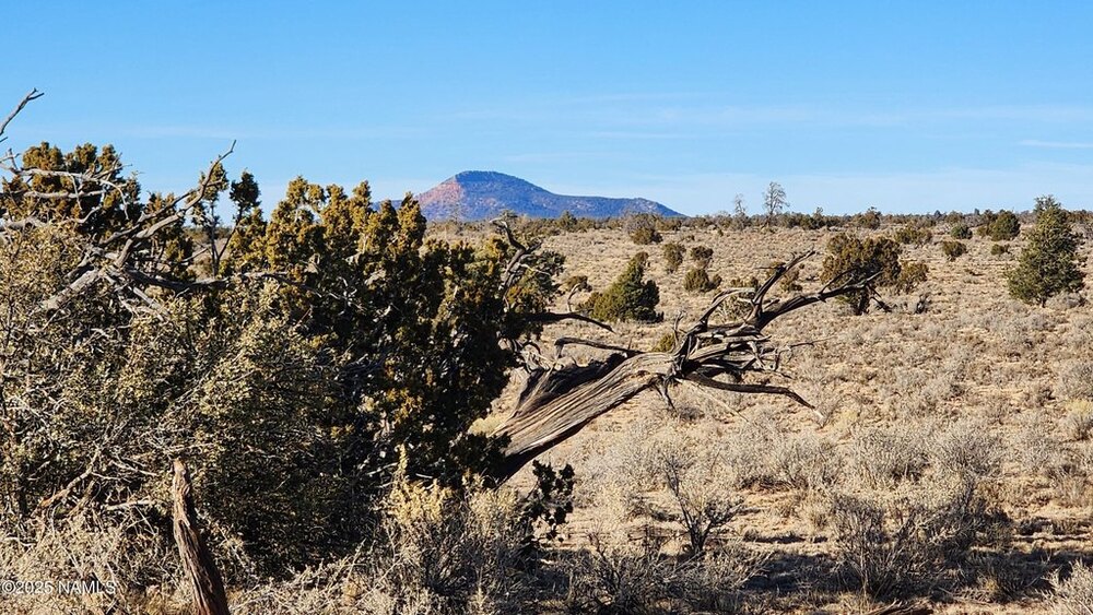 Photo of Mobile Home Lot