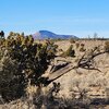 Photo of Mobile Home Lot