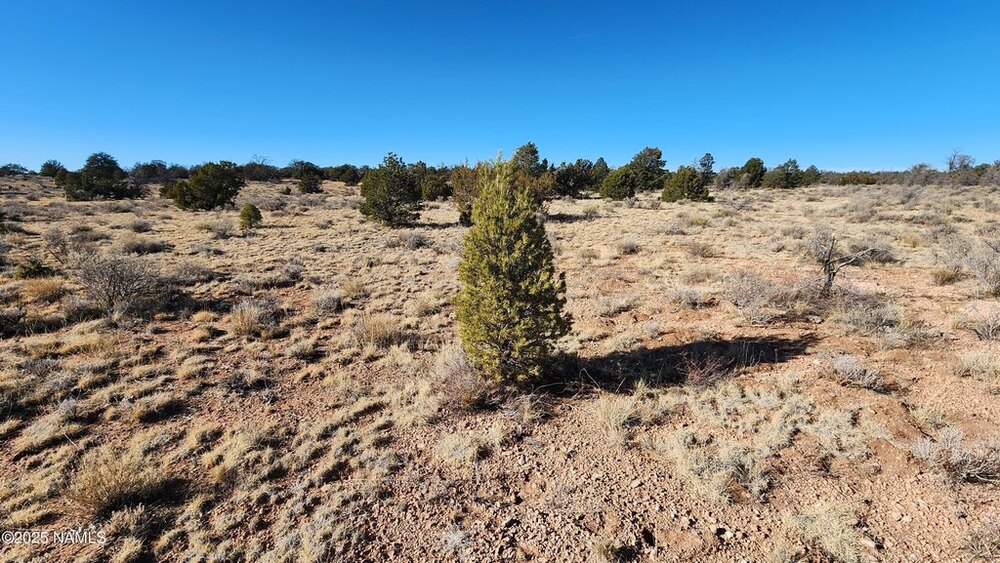 Photo of Mobile Home Lot