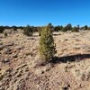 Photo of Mobile Home Lot