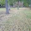 Photo of Mobile Home Lot