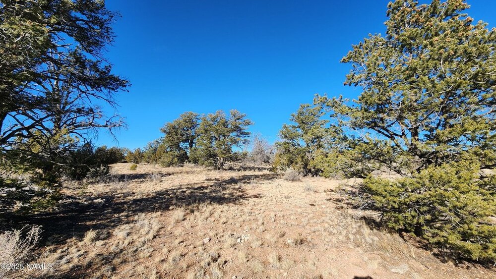 Photo of Mobile Home Lot