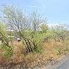 Mobile Home for Sale: 1976 Mobile Home