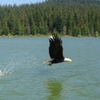 Photo of RV Park/Campground