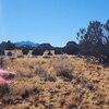 Photo of Mobile Home Lot