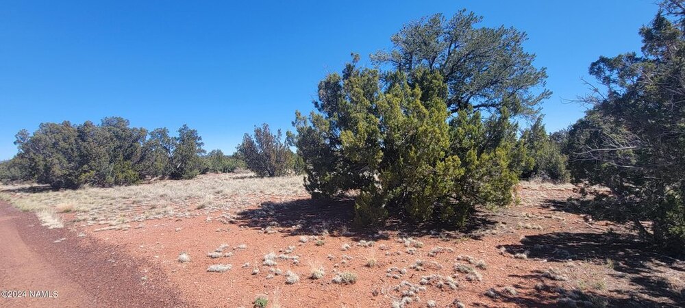 Photo of Mobile Home Lot