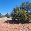 Photo of Mobile Home Lot