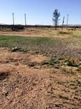 Photo of Mobile Home Lot
