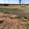 Photo of Mobile Home Lot