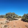 Photo of Mobile Home Lot