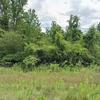 Mobile Home for Sale: 2017 Mobile Home