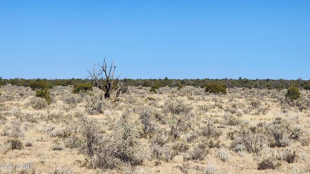 Photo of Mobile Home Lot
