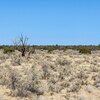 Photo of Mobile Home Lot