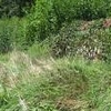 Photo of Mobile Home Lot