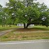 Mobile Home for Sale: 4 Bed 2 Bath Mobile Home