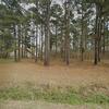 Mobile Home for Sale: 3 Bed 2 Bath 1992 Mobile Home