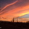 Photo of Mobile Home Lot