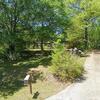 Mobile Home for Sale: 1995 Mobile Home