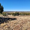 Photo of Mobile Home Lot