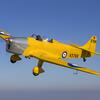 Aircraft for Sale: For Sale Miles Magister M14A