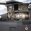 Leonardo-AW139-31239_19.jpg