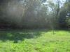 Photo of Mobile Home Lot