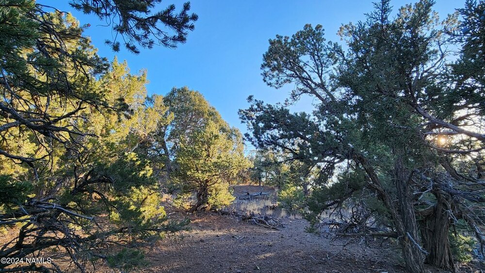 Photo of Mobile Home Lot