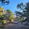 Photo of Mobile Home Lot