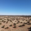 Photo of Mobile Home Lot