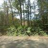 Mobile Home for Sale: 3 Bed 2 Bath 1982 Mobile Home