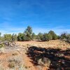 Photo of Mobile Home Lot