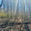 Photo of Mobile Home Lot
