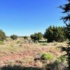 Photo of Mobile Home Lot