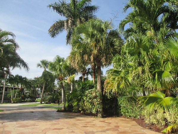 Photo of RV Lot