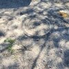 Photo of Mobile Home Lot