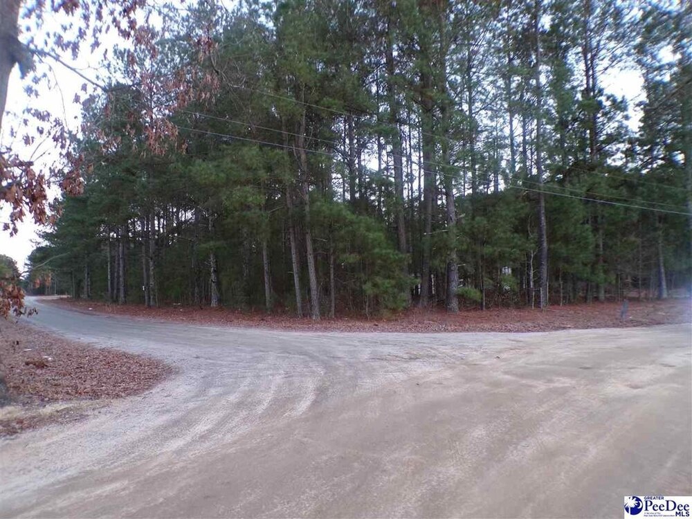 Photo of Mobile Home Lot