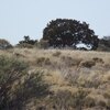 Photo of Mobile Home Lot