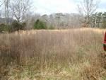 Photo of Mobile Home Lot