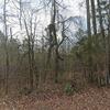 Mobile Home for Sale: 1996 Mobile Home