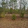 Mobile Home for Sale: 3 Bed 4 Bath 1978 Mobile Home