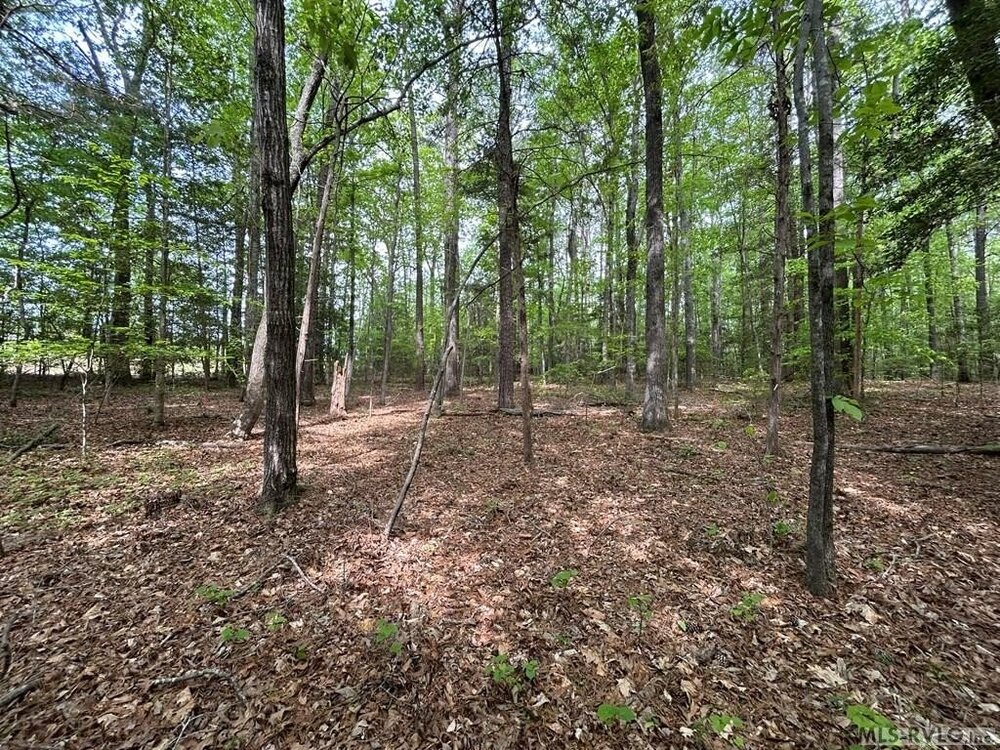 Photo of Mobile Home Lot