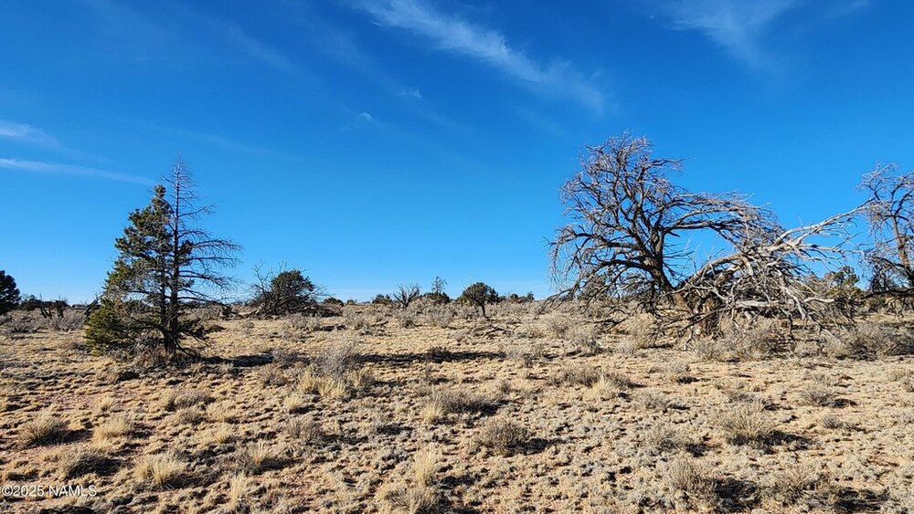 Photo of Mobile Home Lot