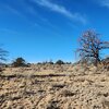 Photo of Mobile Home Lot