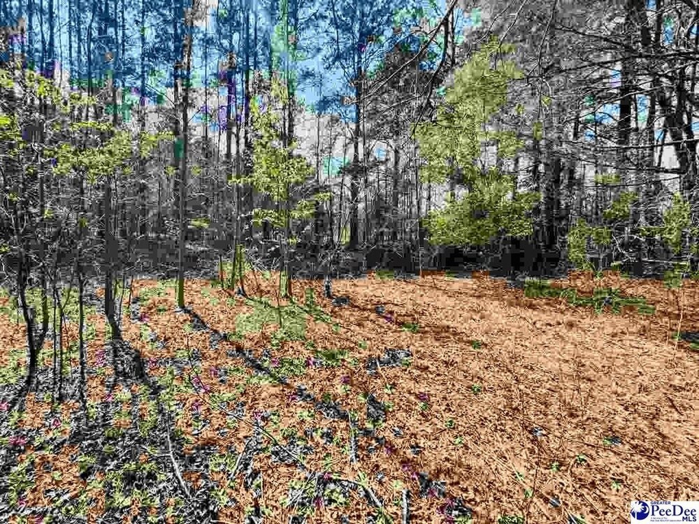 Photo of Mobile Home Lot