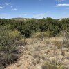 Photo of Mobile Home Lot